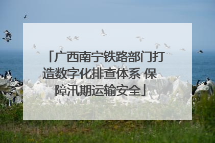 广西南宁铁路部门打造数字化排查体系 保障汛期运输安全