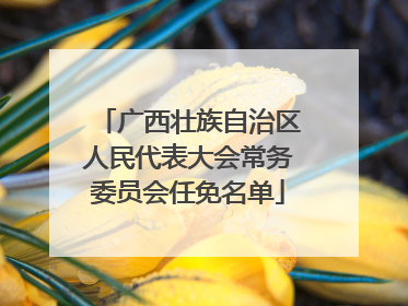 广西壮族自治区人民代表大会常务委员会任免名单