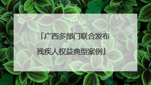 广西多部门联合发布残疾人权益典型案例