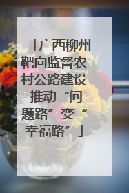广西柳州靶向监督农村公路建设 推动“问题路”变“幸福路”
