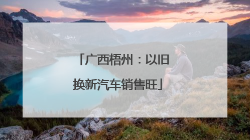广西梧州：以旧换新汽车销售旺