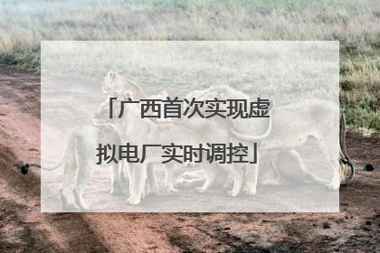 广西首次实现虚拟电厂实时调控