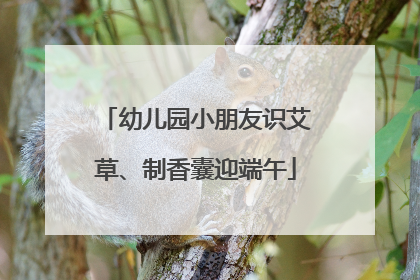 幼儿园小朋友识艾草、制香囊迎端午