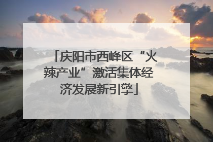 庆阳市西峰区“火辣产业”激活集体经济发展新引擎