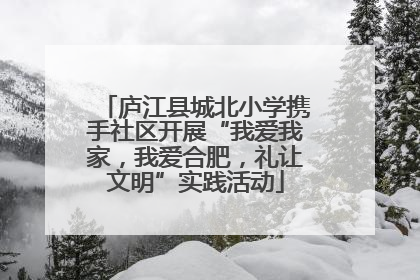 庐江县城北小学携手社区开展“我爱我家，我爱合肥，礼让文明”实践活动