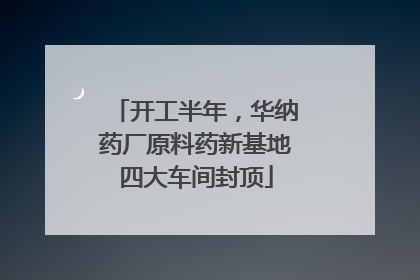 开工半年，华纳药厂原料药新基地四大车间封顶