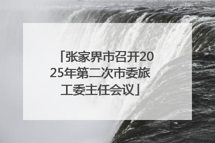 张家界市召开2025年第二次市委旅工委主任会议