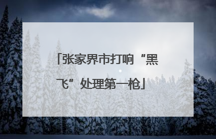 张家界市打响“黑飞”处理第一枪