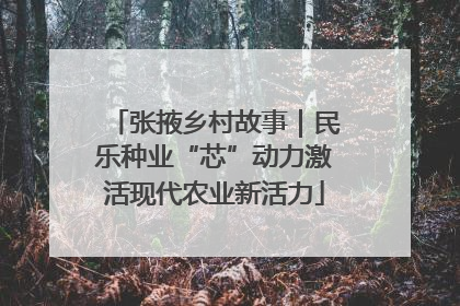 张掖乡村故事｜民乐种业“芯”动力激活现代农业新活力