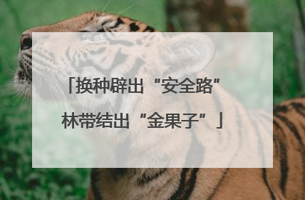 换种辟出“安全路” 林带结出“金果子”