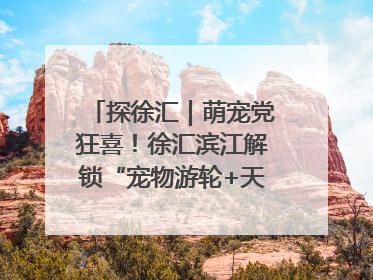 探徐汇｜萌宠党狂喜！徐汇滨江解锁“宠物游轮+天台乐园”双玩法