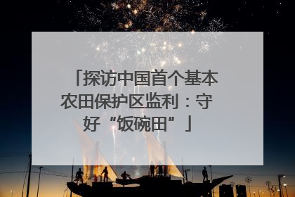 探访中国首个基本农田保护区监利：守好“饭碗田”