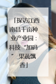 探访江西南昌千亩种业产业园：科技“加码” 果蔬飘香
