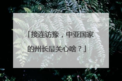 接连访豫，中亚国家的州长最关心啥？