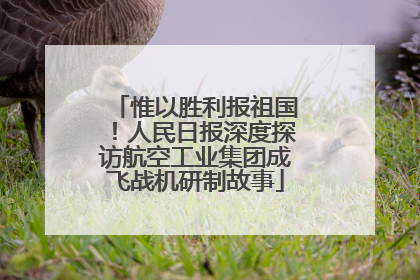 惟以胜利报祖国！人民日报深度探访航空工业集团成飞战机研制故事