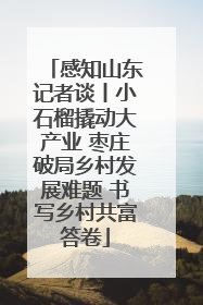 感知山东记者谈丨小石榴撬动大产业 枣庄破局乡村发展难题 书写乡村共富答卷