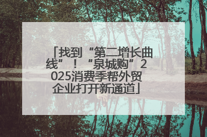 找到“第二增长曲线”！“泉城购”2025消费季帮外贸企业打开新通道