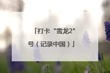 打卡“雪龙2”号（记录中国）
