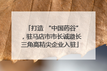 打造 “中国药谷”，驻马店市市长诚邀长三角高精尖企业入驻