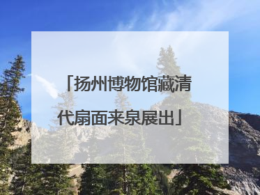 扬州博物馆藏清代扇面来泉展出