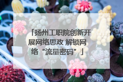 扬州工职院创新开展网络思政 解锁网络“流量密码”