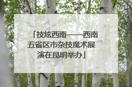 技炫西南——西南五省区市杂技魔术展演在昆明举办