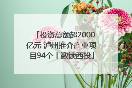 投资总额超2000亿元 泸州推介产业项目94个丨数读西投