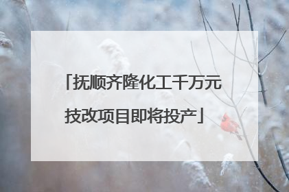 抚顺齐隆化工千万元技改项目即将投产