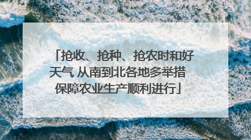 抢收、抢种、抢农时和好天气 从南到北各地多举措保障农业生产顺利进行