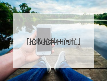 抢收抢种田间忙
