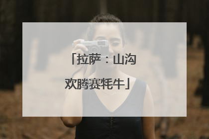 拉萨：山沟欢腾赛牦牛