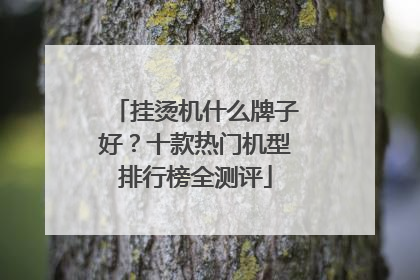 挂烫机什么牌子好？十款热门机型排行榜全测评