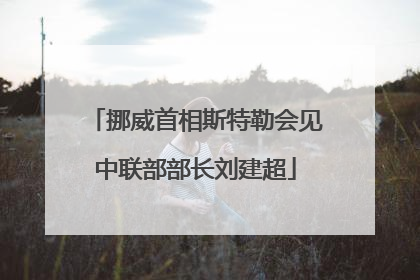 挪威首相斯特勒会见中联部部长刘建超
