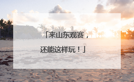 来山东观赛，还能这样玩！