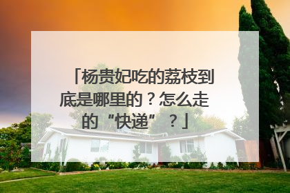 杨贵妃吃的荔枝到底是哪里的？怎么走的“快递”？