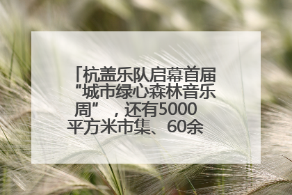 杭盖乐队启幕首届“城市绿心森林音乐周”，还有5000平方米市集、60余场免费活动等你来