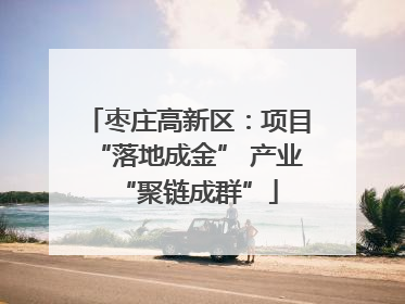 枣庄高新区：项目“落地成金” 产业“聚链成群”