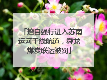 擅自强行进入苏南运河干线航道，舜龙煤炭联运被罚