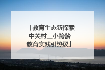 教育生态新探索 中关村三小跨龄教育实践引热议