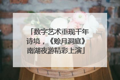数字艺术重现千年诗境，《赊月洞庭》南湖夜游精彩上演