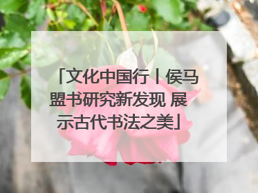 文化中国行丨侯马盟书研究新发现 展示古代书法之美