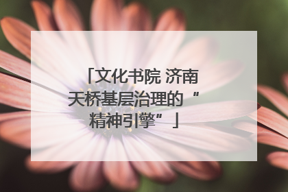 文化书院 济南天桥基层治理的“精神引擎”