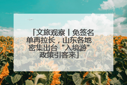 文旅观察丨免签名单再拉长，山东各地密集出台“入境游”政策引客来
