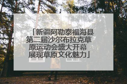 新疆阿勒泰福海县第二届沙尔布拉克草原运动会盛大开幕 展现草原文化魅力
