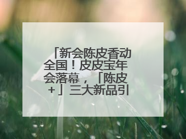 新会陈皮香动全国！皮皮宝年会落幕，「陈皮＋」三大新品引领产业升级