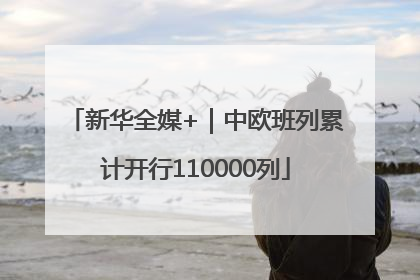 新华全媒+｜中欧班列累计开行110000列