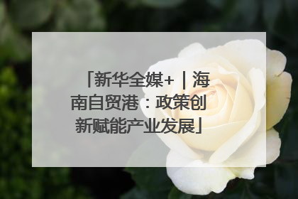 新华全媒+｜海南自贸港：政策创新赋能产业发展