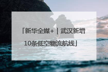 新华全媒+｜武汉新增10条低空物流航线