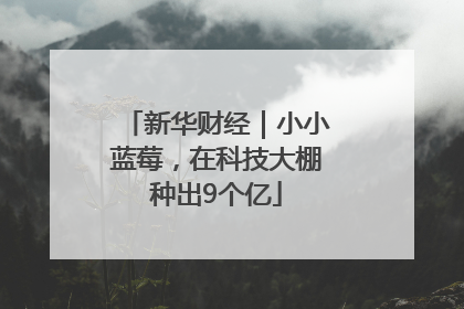 新华财经｜小小蓝莓，在科技大棚种出9个亿