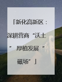 新化高新区：深耕营商“沃土” 厚植发展“磁场”